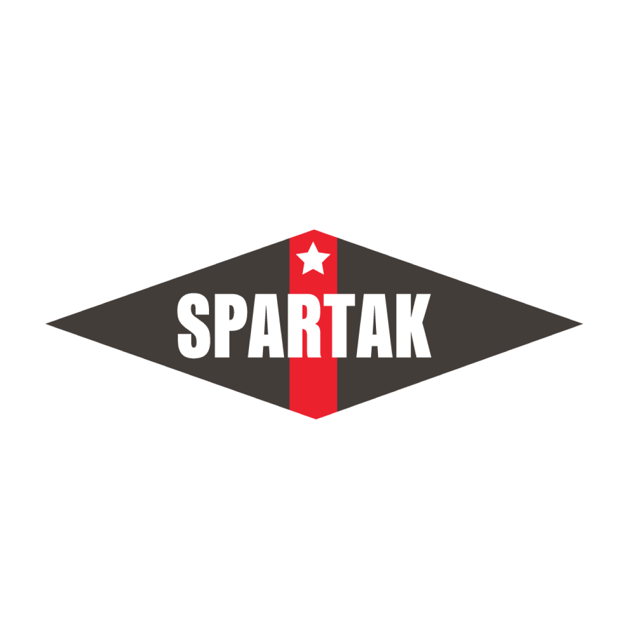 Maquina de coser industrial SPARTAK